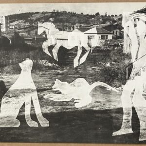Img 0386